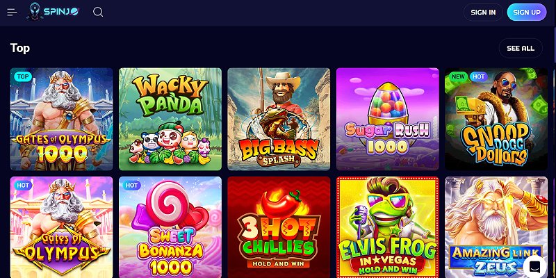 Best Online Casinos in New Zealand for 2025